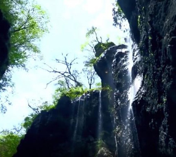 青山綠水，白龍江畔江畔息白鷺，兩岸綠橄欖入眼的都是純樸自然枝上花開(kāi)，春來(lái)水暖魚(yú)蝦戲水，鳥(niǎo)語(yǔ)花香心中充滿(mǎn)著舒暢之感祥宇生態(tài)產(chǎn)業(yè)園，位于隴南市武..
